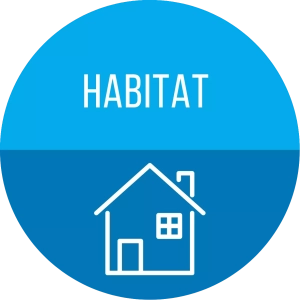 categorie audit habitat
